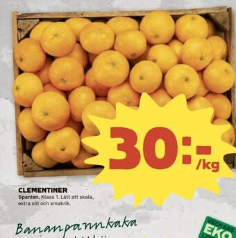 Clementiner
