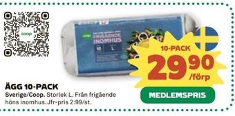 Stora Coop Ägg 10-pack erbjuda