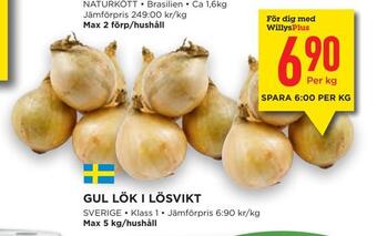 Willys Gul lök i lösvikt erbjuda