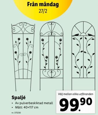 Lidl Spaljé erbjuda