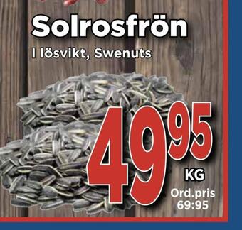 Supergrossen Solrosfrön erbjuda