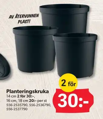 DollarStore Planteringskruka erbjuda