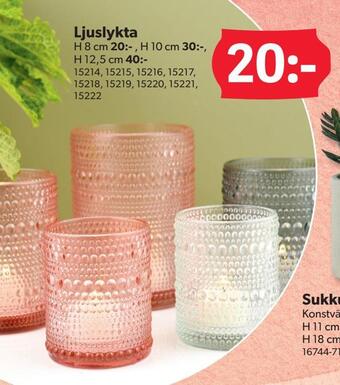 DollarStore Ljuslykta erbjuda