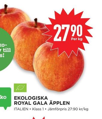 Willys Ekologiska royal gala äpplen erbjuda