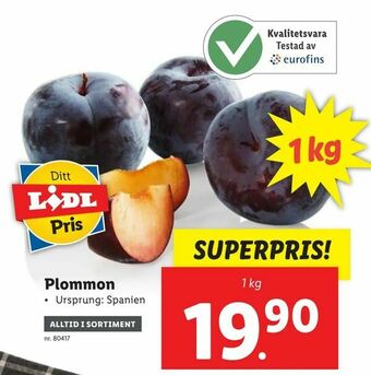 Lidl Plommon erbjuda