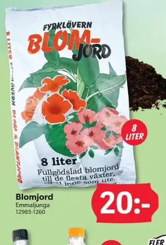 DollarStore Emmaljunga blomjord erbjuda