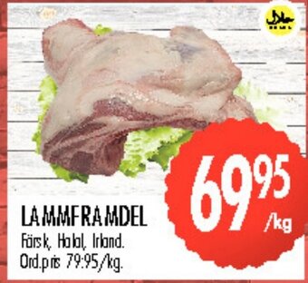 Rinkeby Matcenter Lammframdel erbjuda
