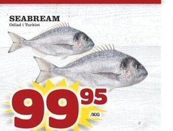 Matvärlden Tensta Seabream erbjuda