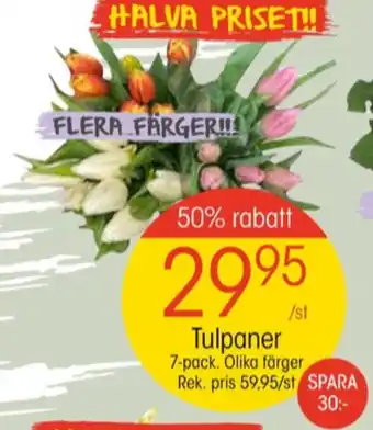 EKO A+ blommor erbjuda