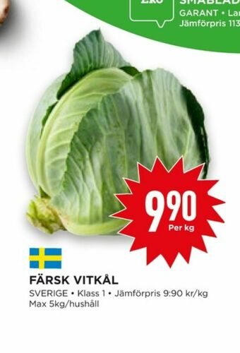 Vitkål