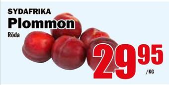 Matdax Plommon erbjuda