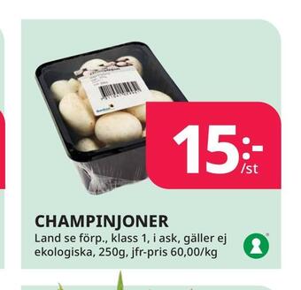 Tempo Champinjoner erbjuda