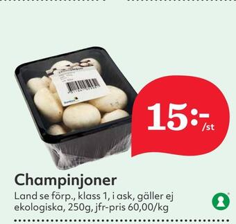 Hemköp Champinjoner erbjuda