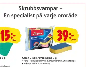 Ceran kökssvamp