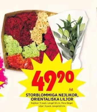 ICA Kvantum Storblommiga Nejlikor, Orientaliska Liljor erbjuda