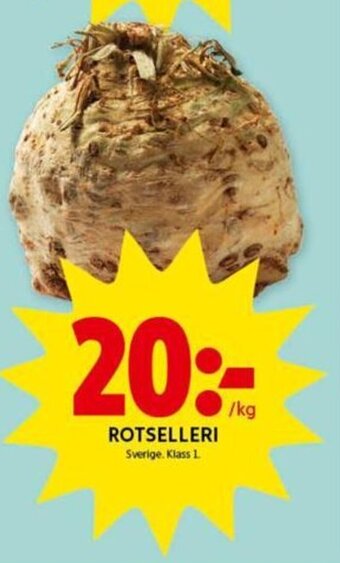 Rotselleri