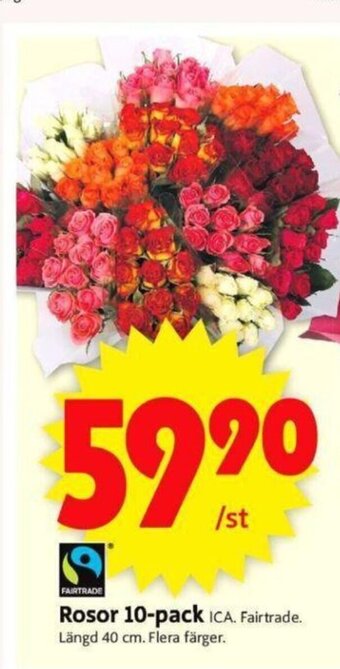 ICA Supermarket Rosor 10-pack erbjuda