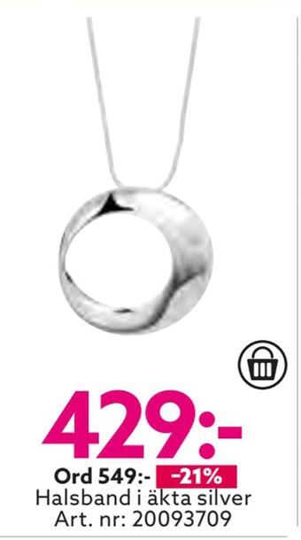 Albrekts Guld Halsband i äkta silver erbjuda