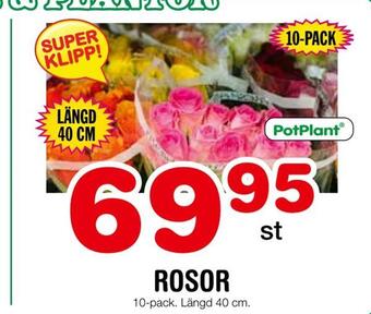Nya Pulsen Rosor erbjuda