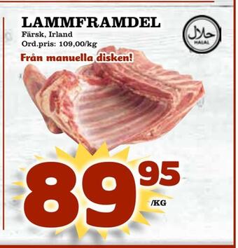 Supergrossen Lammframdel erbjuda