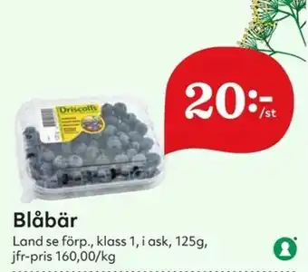 Land se förp. Blåbär 125g