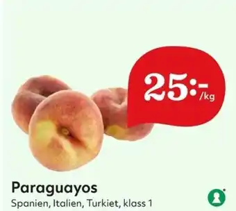 Spanien Paraguayos