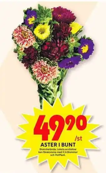 ICA Maxi Blomsterboda Aster I Bunt erbjuda