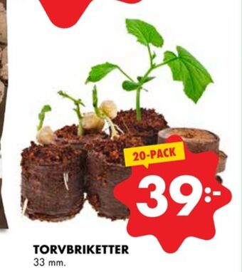 Odla odlingsbrikett
