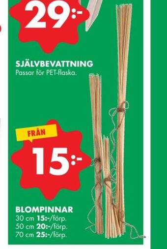 ÖoB Odla blompinne erbjuda