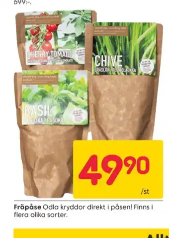 Rusta Ashby garden fröpåsar erbjuda