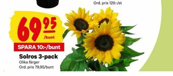City Gross Blommor erbjuda