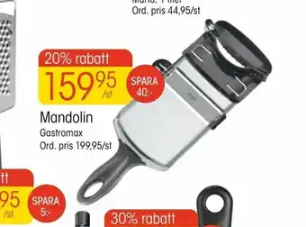 Mandolin