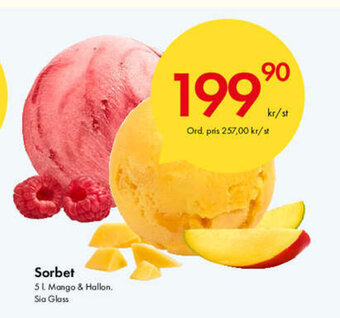 Snabbgross Sorbet erbjuda