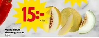 Matöppet Galiamelon • Honungsmelon erbjuda