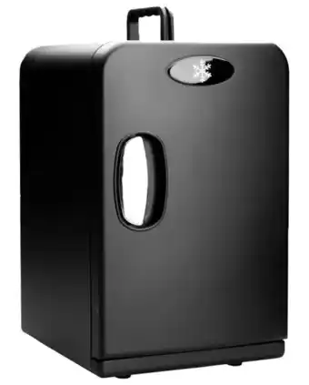 Mini fridge 15 liter matte black
