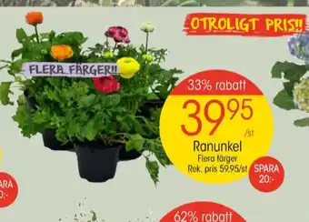 EKO Palmolive plantor erbjuda