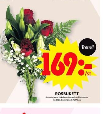 ICA Maxi Blomsterboda blommor erbjuda