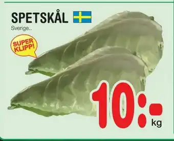 Nya Pulsen Spetskål erbjuda