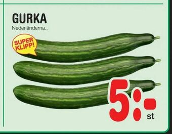 Nya Pulsen Gurka erbjuda
