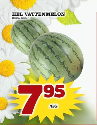 Supergrossen Hel vattenmelon erbjuda