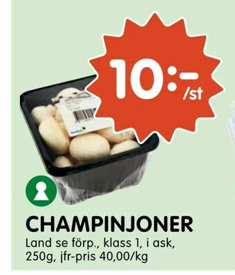 Tempo Champinjoner erbjuda