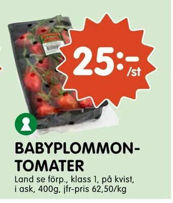 Tempo Babyplommon- tomater erbjuda