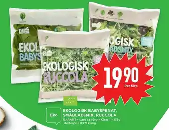 Ekologisk babyspenat, småbladsmix, ruccola