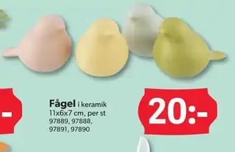 Fågel
