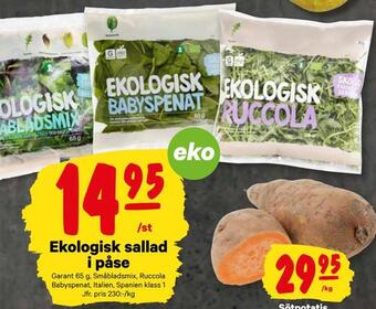 City Gross Ekologisk sallad erbjuda