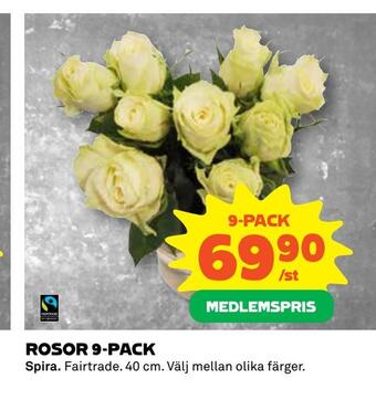 Coop Konsum Rosor 9-pack erbjuda