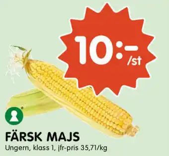Tempo Ungern Färsk majs erbjuda