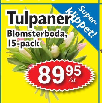T-jarlen Tulpaner erbjuda