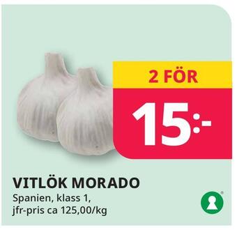 Vitlök morado