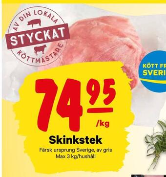 Skinkstek